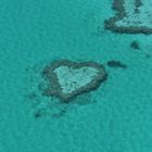 Heart Reef