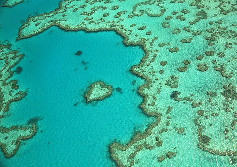 Heart Reef