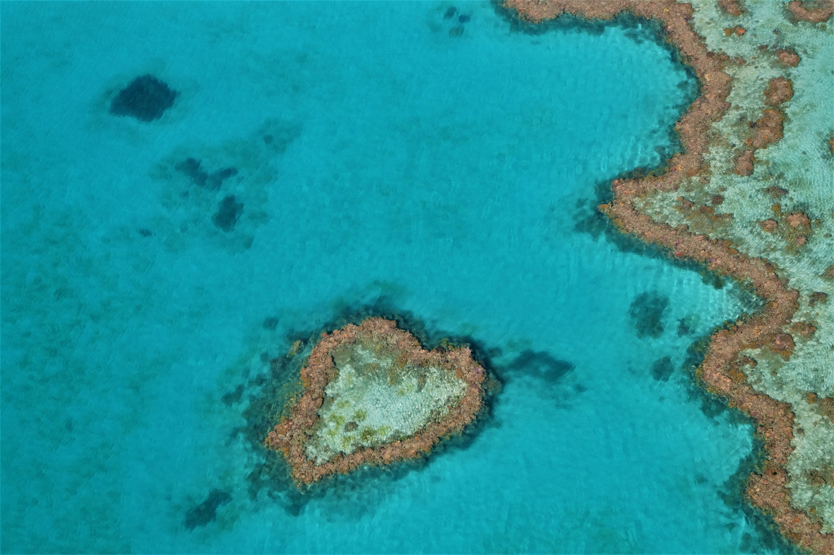 Heart Reef 