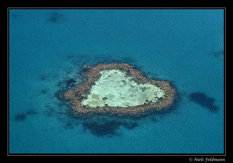 Heart Reef