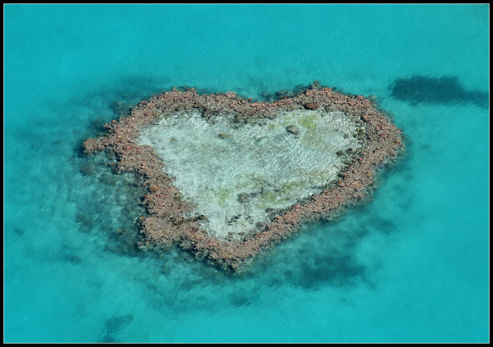 "Heart Reef"