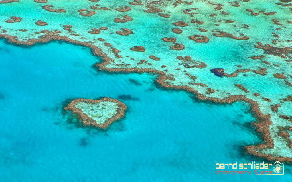 Heart Reef