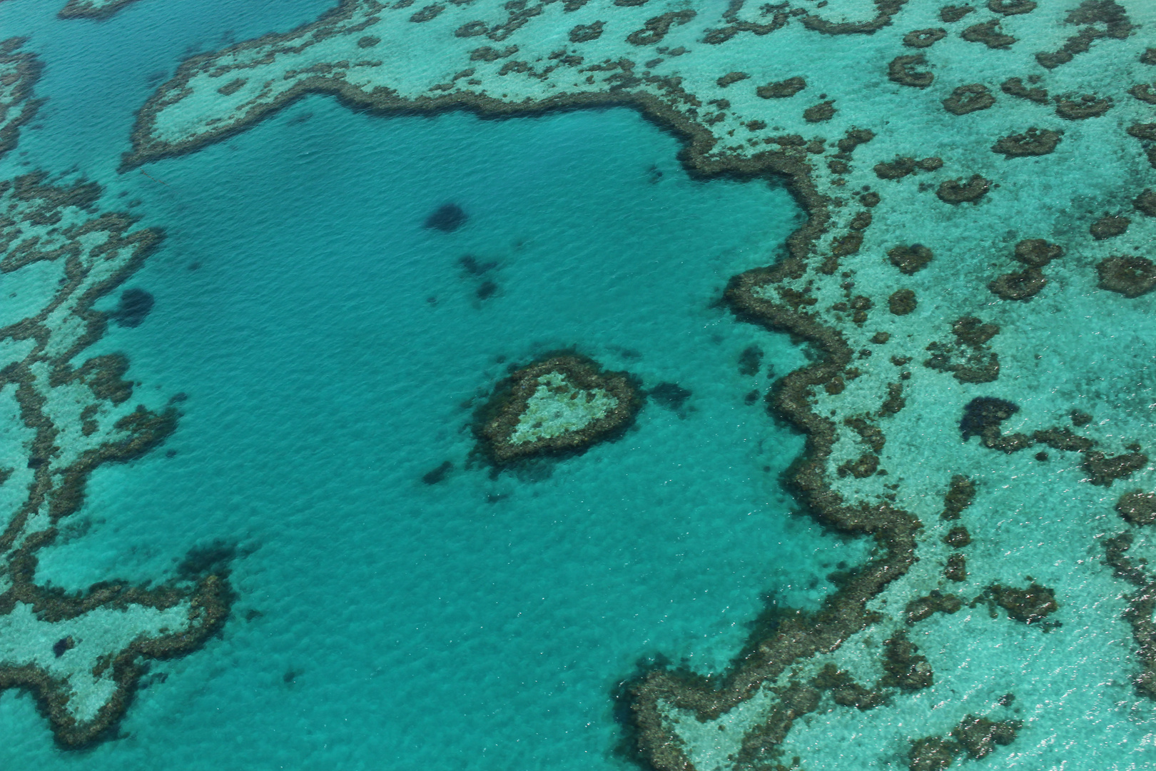 Heart Reef