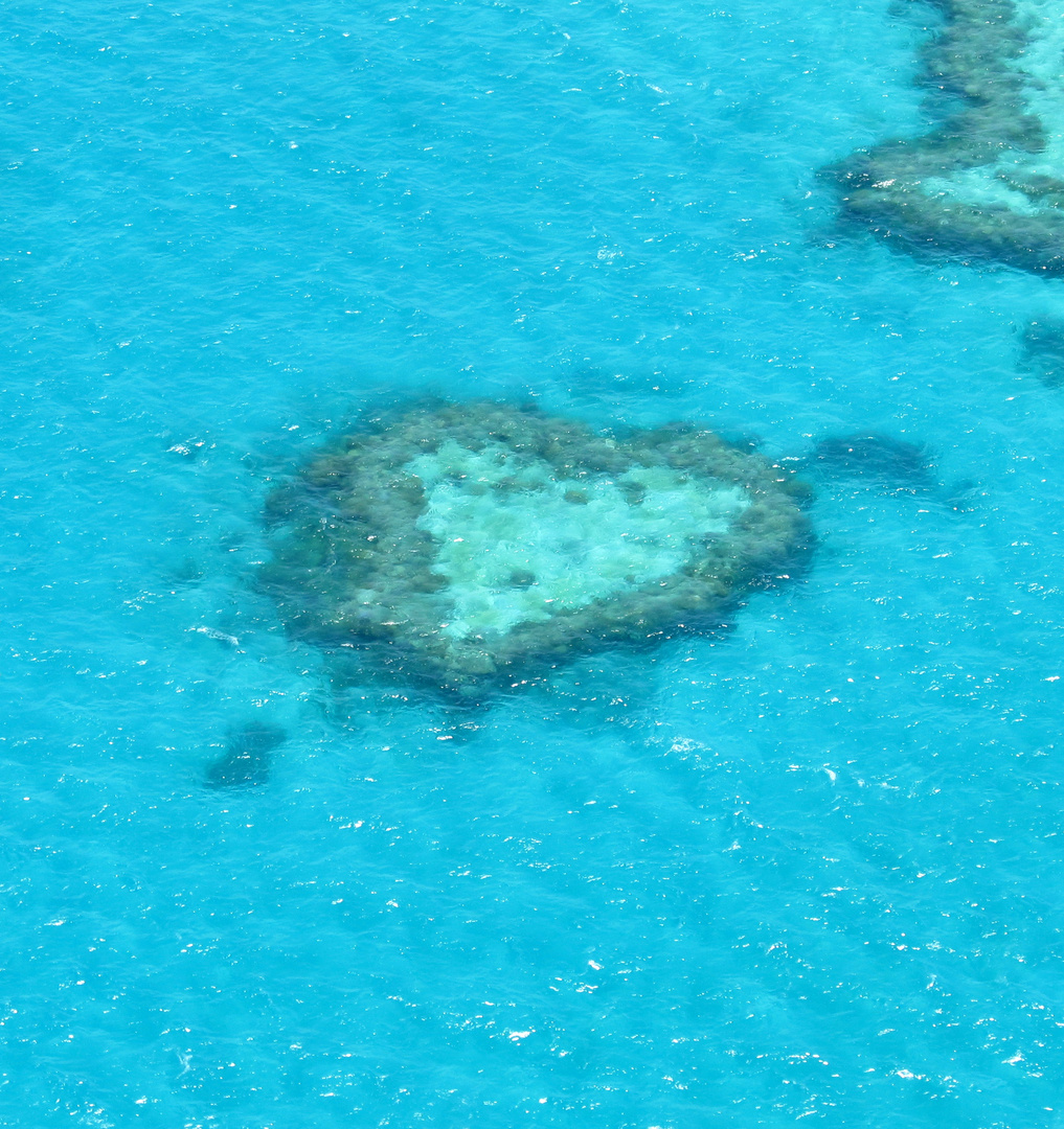 Heart shaped Reef