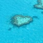 Heart shaped Reef