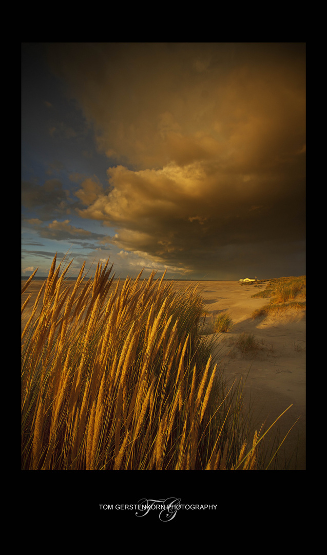 Heartbreak Hotel Terschelling