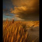 Heartbreak Hotel Terschelling