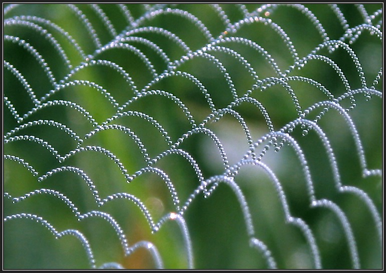 hearts of nature