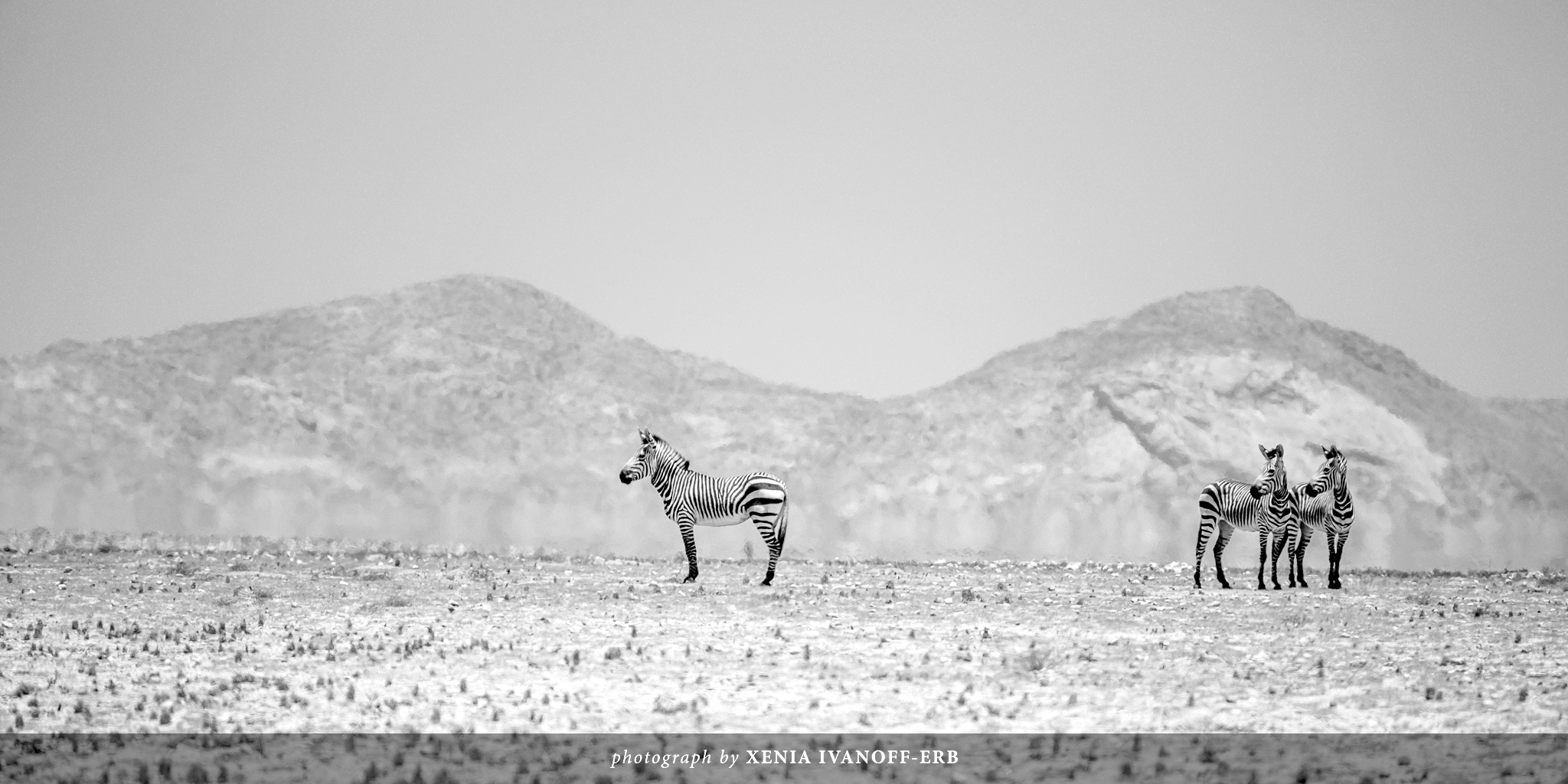 Heat-of-the-Day-(Namibia)