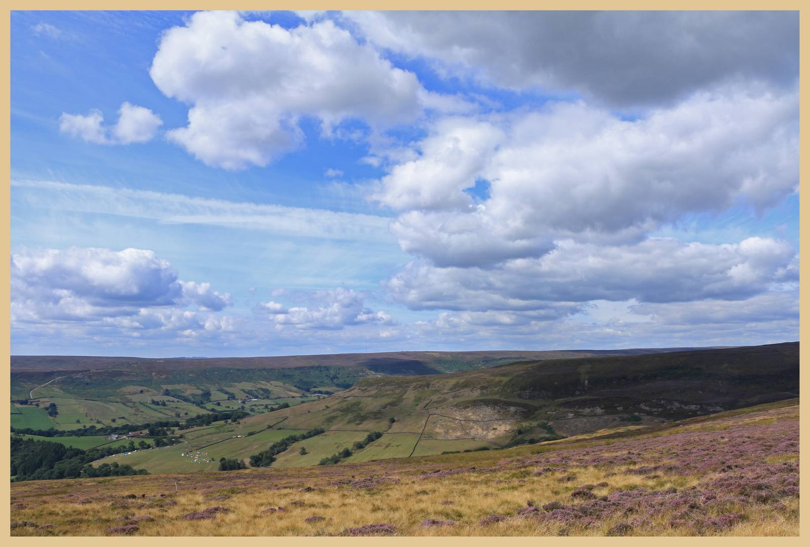 heather moorland above farndale