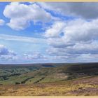 heather moorland above farndale