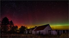 Heatherbell magic lights