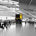 Heathrow Airport Terminal 5