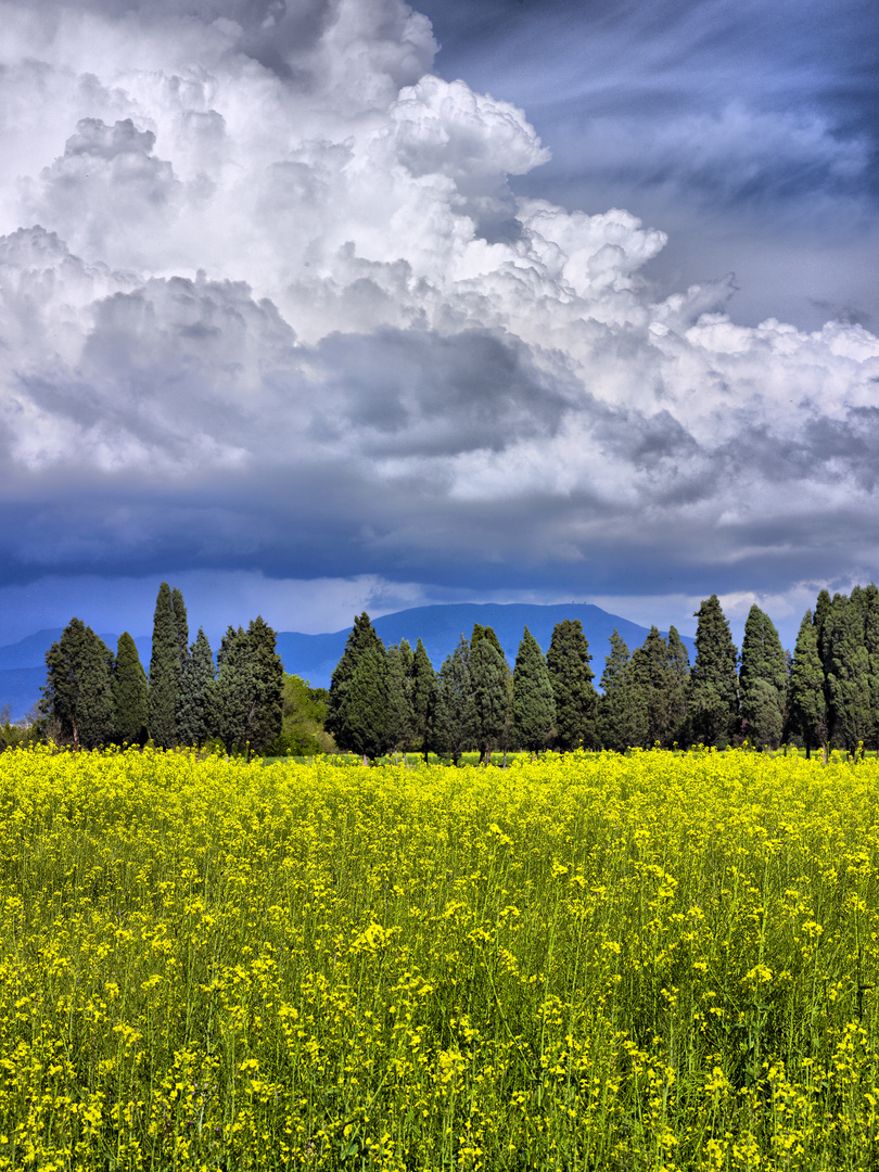 Heaven and the farm