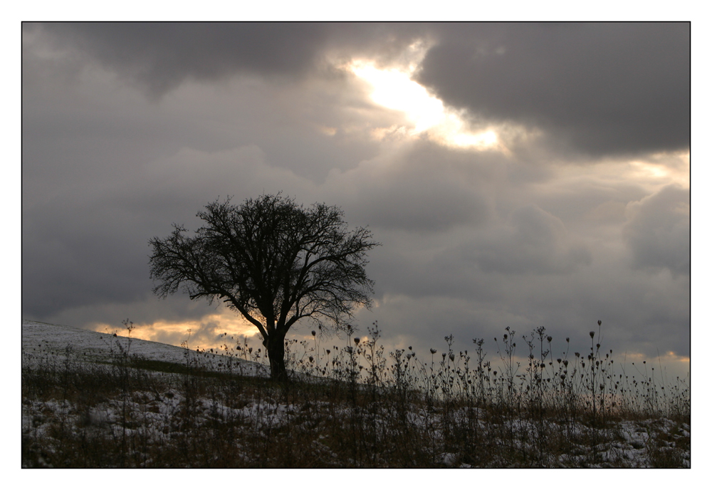 Heavenly Spotlight