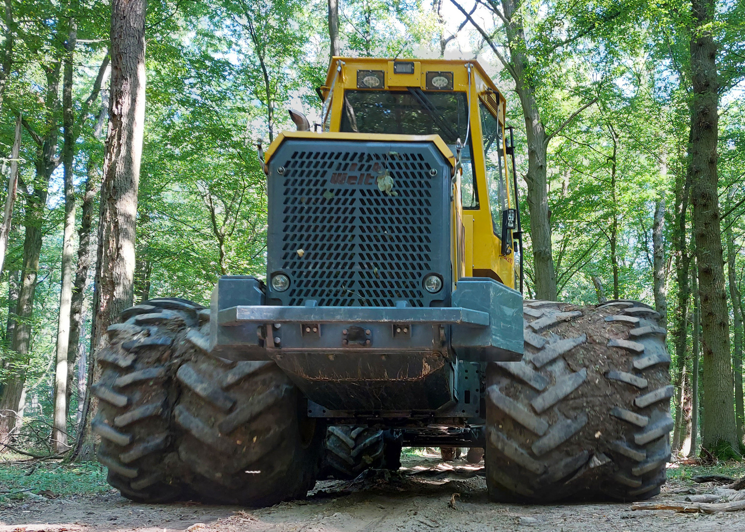 Heavy Equipment im Wald