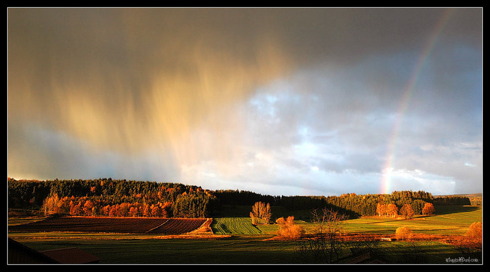 Heavy Skies