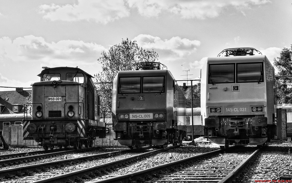 Heavyweights. / HDR