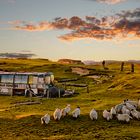 Hebridean Outback