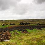 Hebridean Tour: Diamond Cut 2