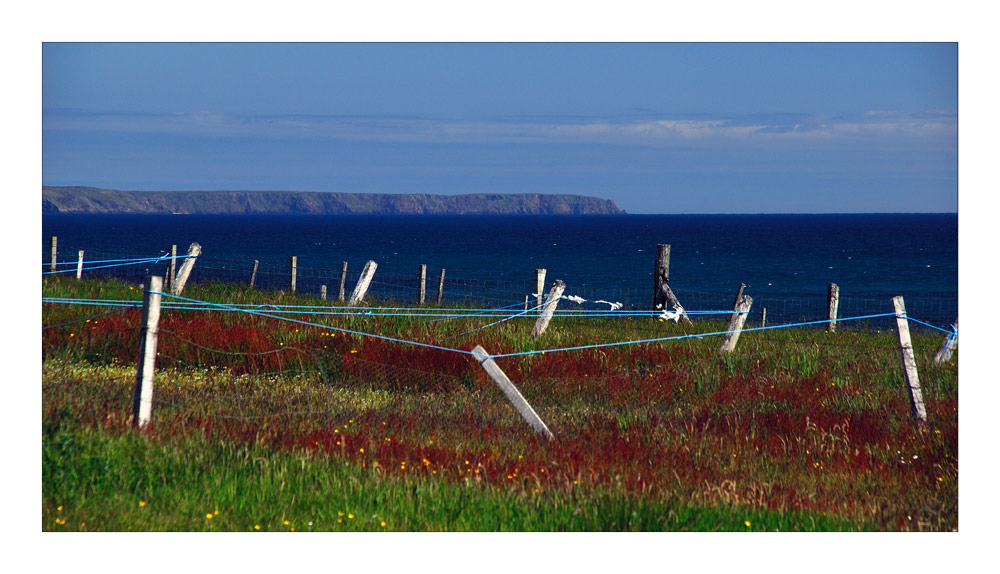 Hebridean Tour: Drying Green - Trockenleinen