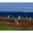 Hebridean Tour: Drying Green - Trockenleinen