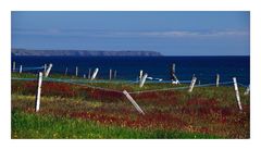 Hebridean Tour: Drying Green - Trockenleinen