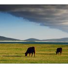 Hebridean Tour: Evening Meal