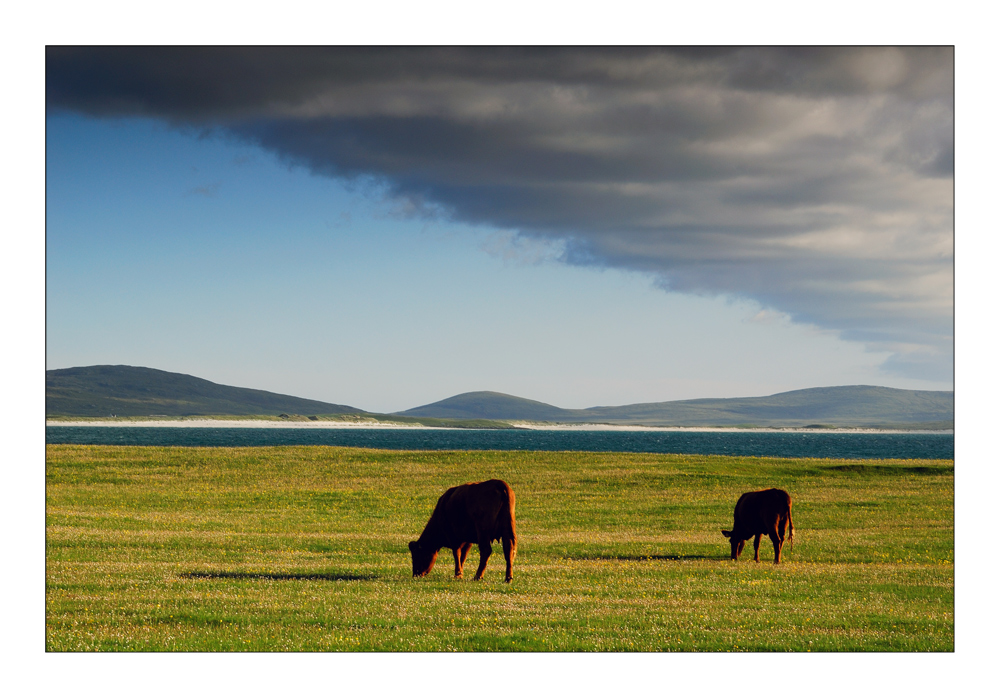 Hebridean Tour: Evening Meal