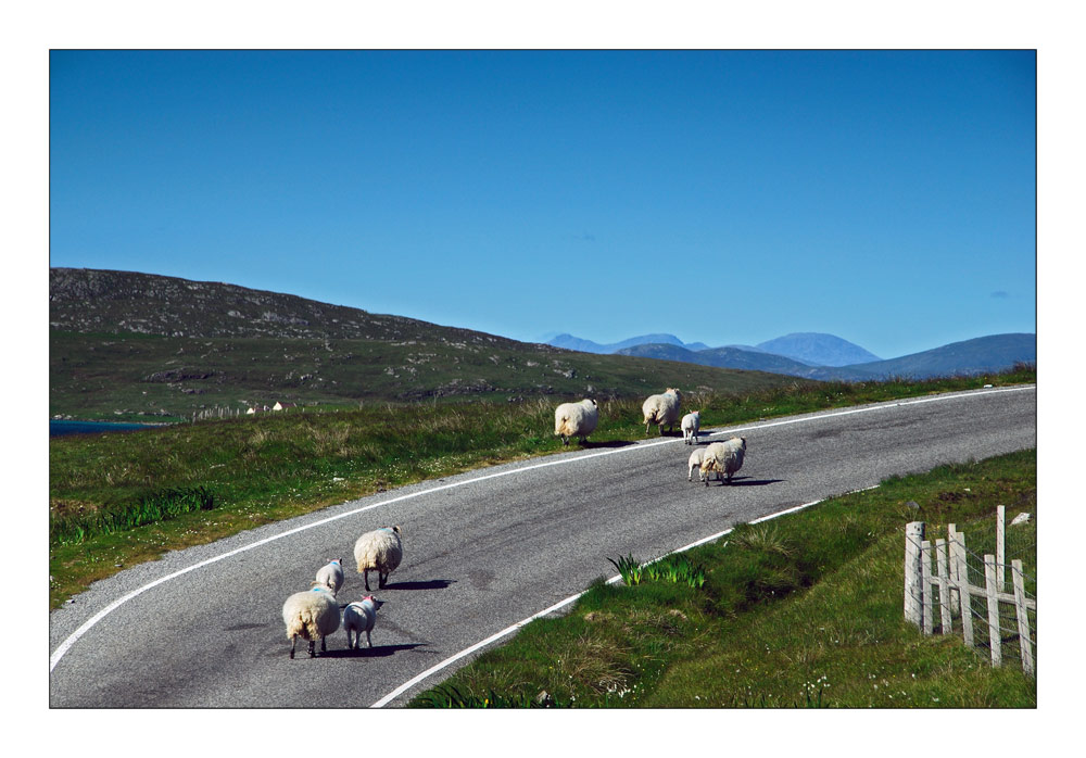 Hebridean Tour: Evening Traffic - Abendverkehr