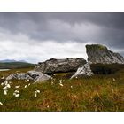 Hebridean Tour: Stones / Steine