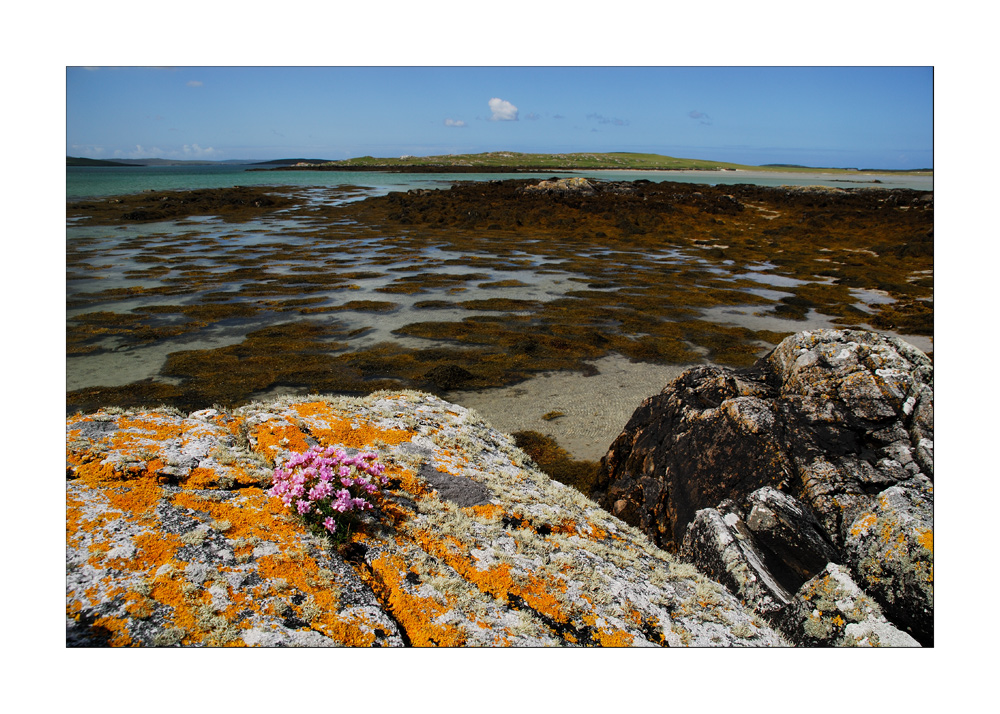 Hebridean Tour: The Coast - Die Küste