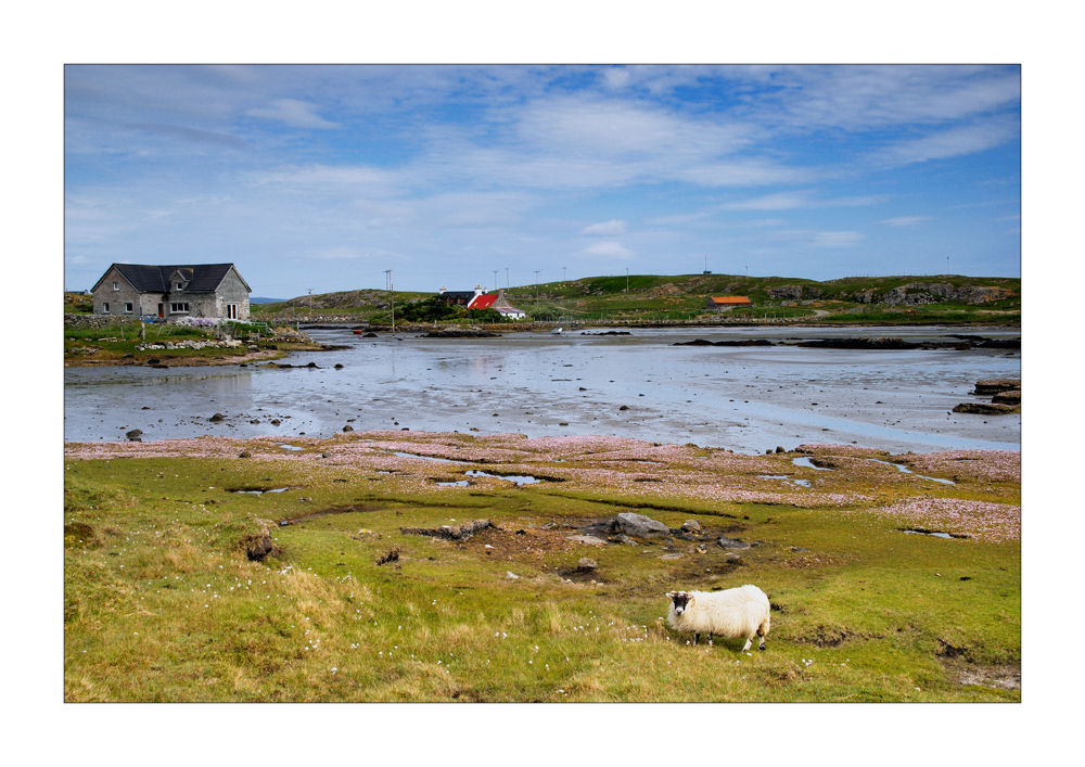 Hebridean Tour: Tide is out