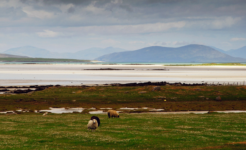 Hebridean Tour: Traigh Ear Evening