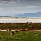 Hebridean Tour: Traigh Ear Evening