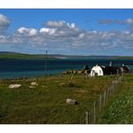 Hebrides Tour: Home Sweet Home