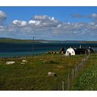 Hebrides Tour: Home Sweet Home