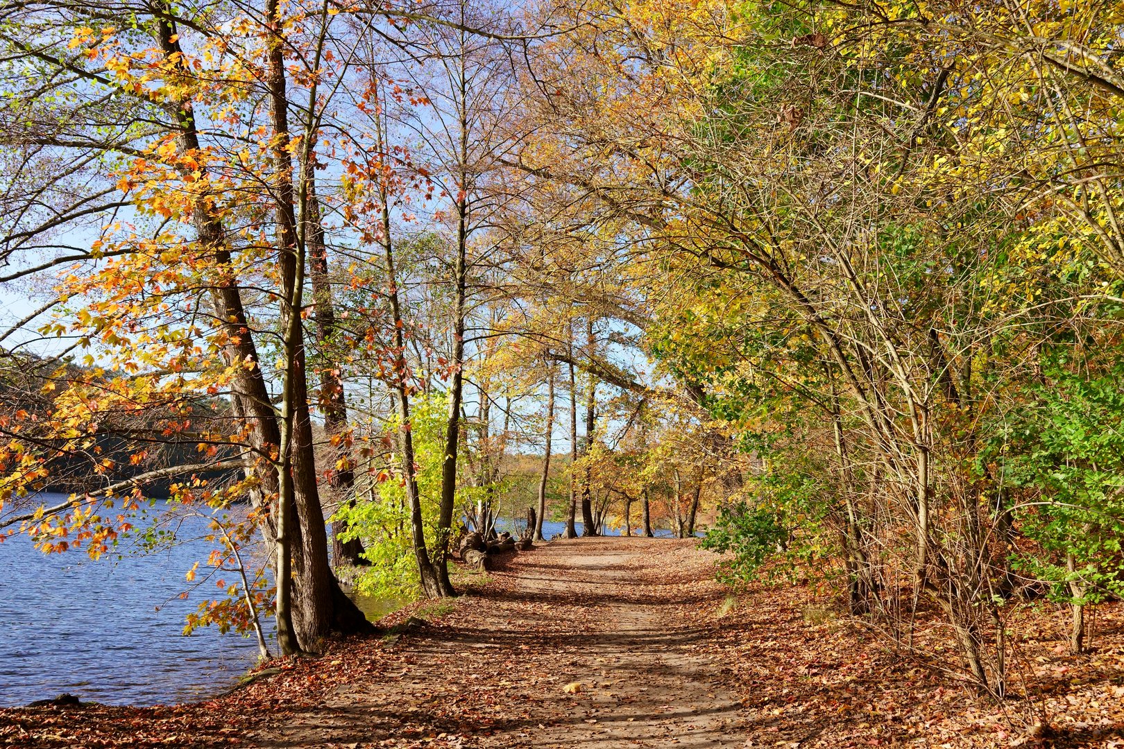 Hebst am Schlachtensee in Berlin