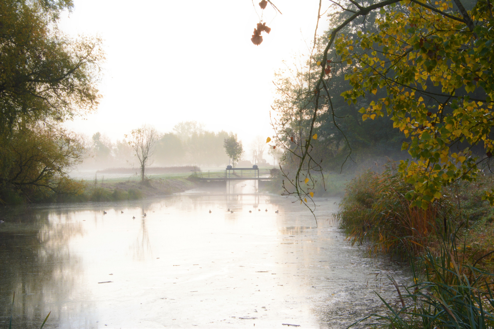 Hebst an der Havel (II)