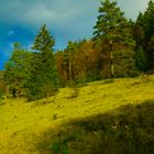 Hebst auf der schwäbischen Alb 