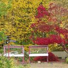 Hebst im Botanischen Garten