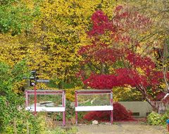 Hebst im Botanischen Garten