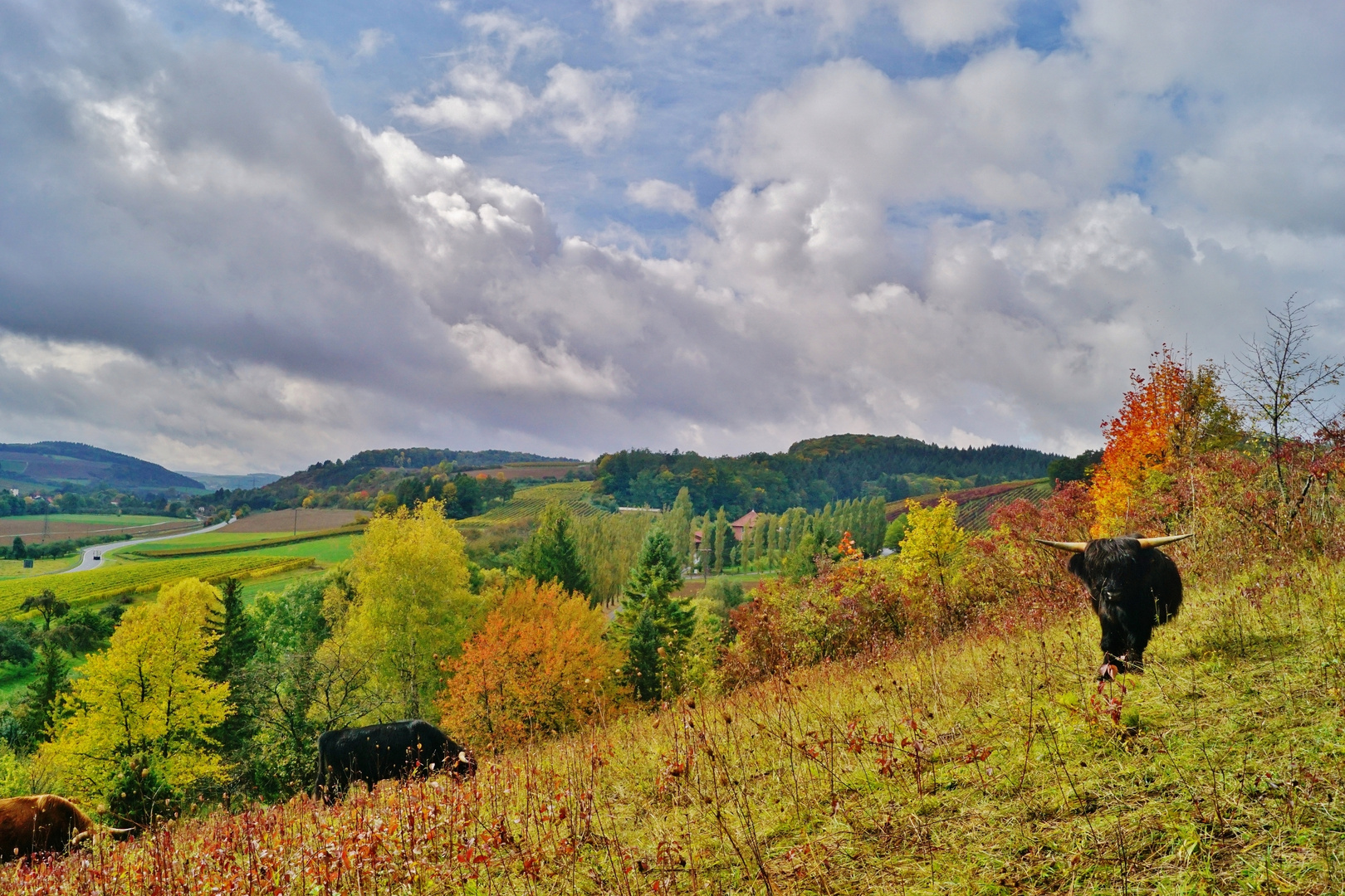 Hebstfarben im Taubertal.