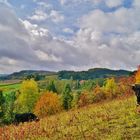 Hebstfarben im Taubertal.