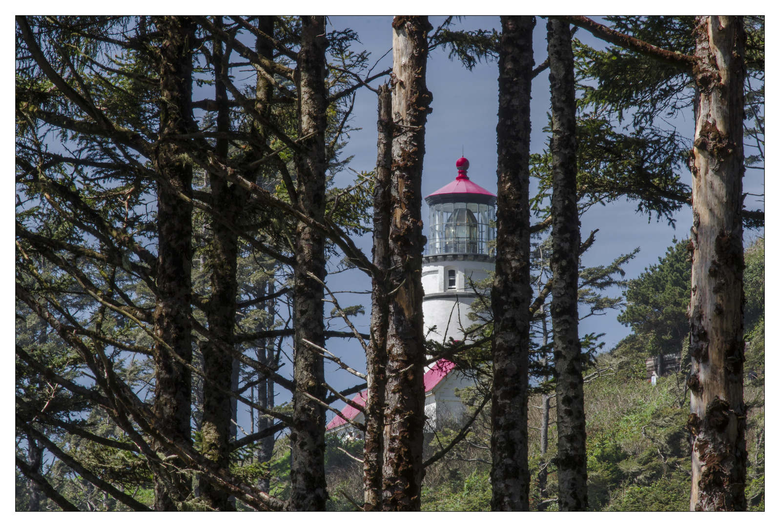 Heceta Lighthouse, Oregon