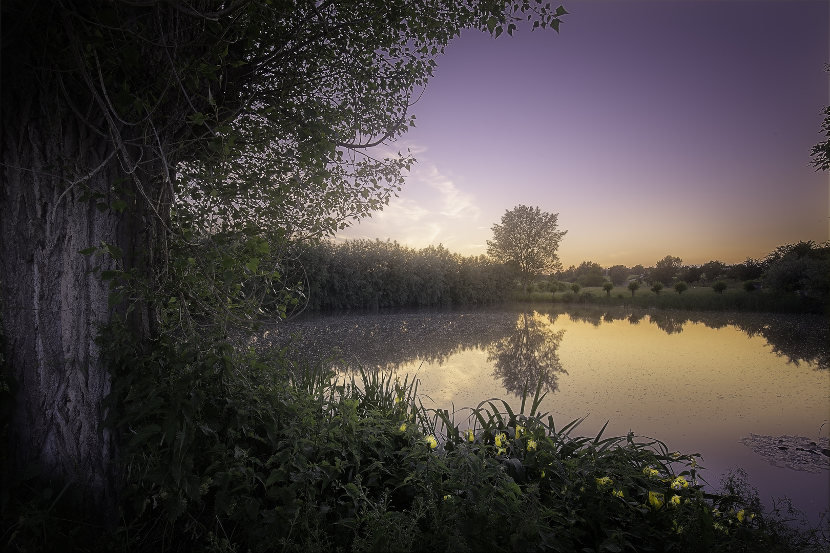 Hecht im Karpfenteich