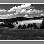 Hechtfeld B&W