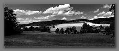 Hechtfeld B&W