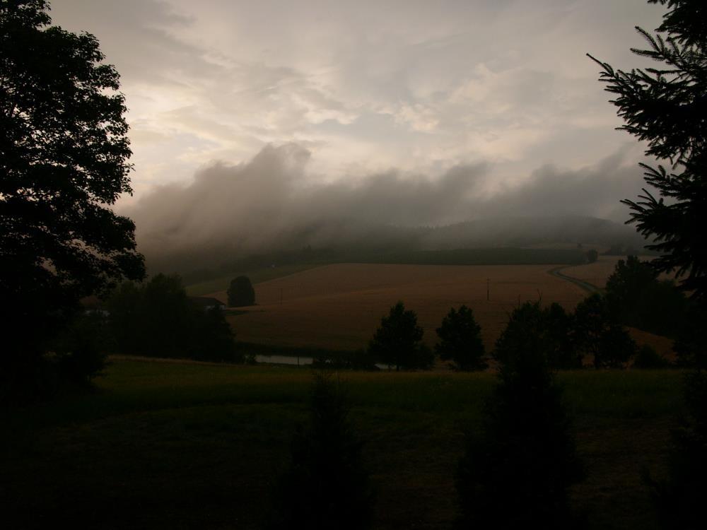 Hechtfeld im Nebel