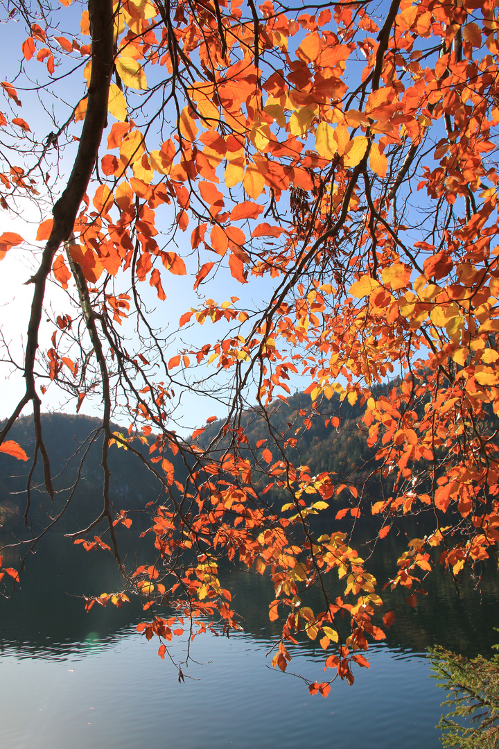 Hechtsee an einem Herbsttag